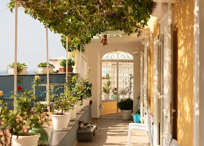 La Terrazza Del Sole A Positano